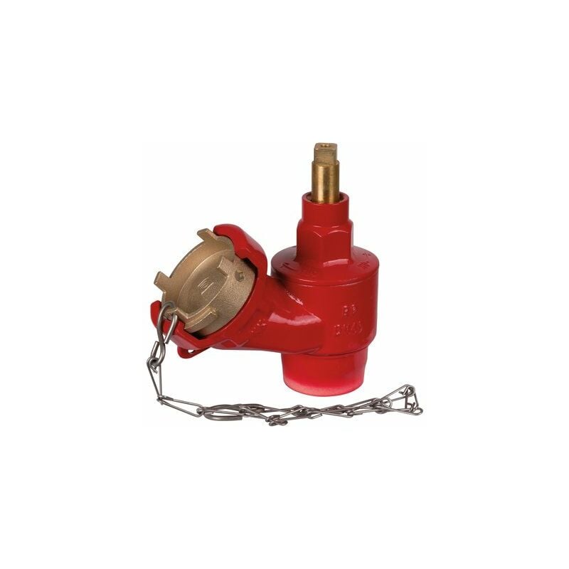 Prise Simple Incendie Dn40