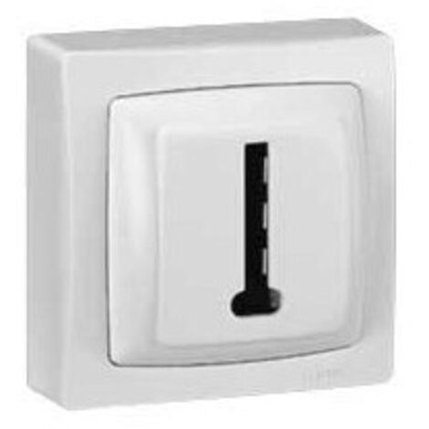 Prise téléphone Appareillage Saillie 8 contacts en T Blanc (097359)