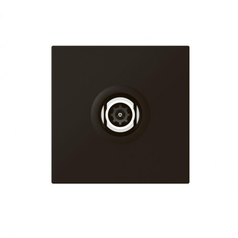 Prise Tv Simple Cp Nr Mosaic