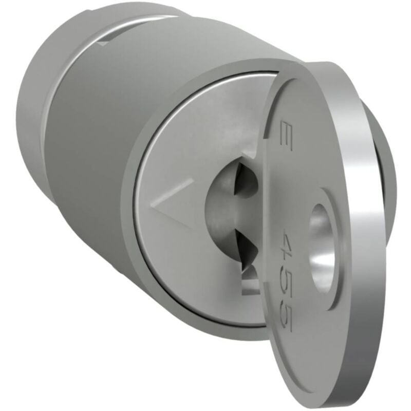 Schneider Electric - LVS07941 Serrure à barillet 1 pc(s)