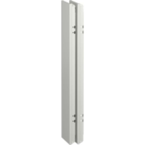 PrismaSeT G Active - Panneau latéral coffret IP55 - 19M - Lot(x2) - RAL9003 - LVS08355