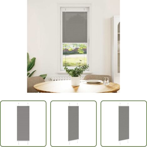 Privacy -  Tenda Plissettata Antracite 45x100 cm Larghezza Tessuto 44,4 cm
