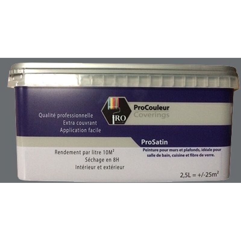 PRO COULEURS Peinture acrylique satinée 2,5L Gris ardoise 2,5 L - Gris Ardoise