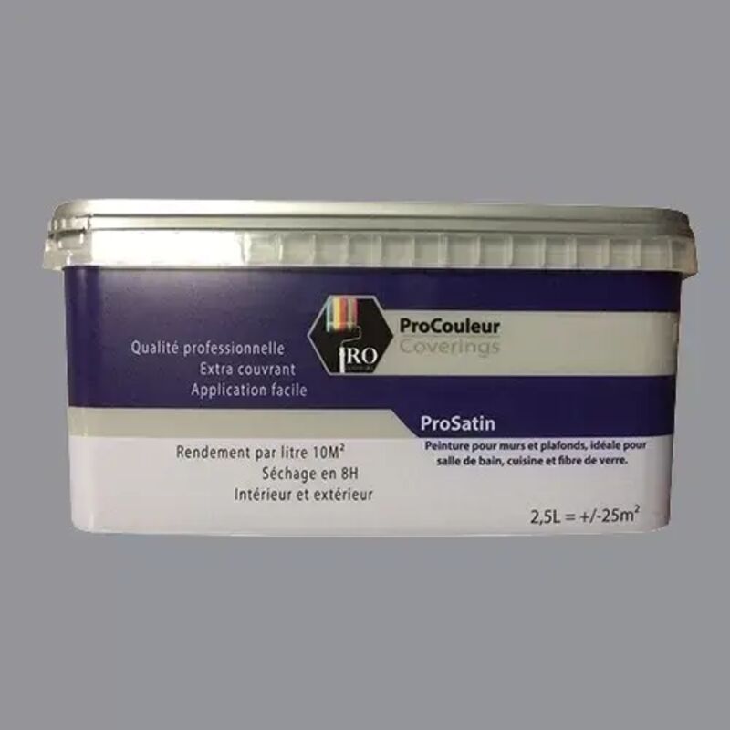 PRO COULEURS Peinture acrylique satinée 2,5L Gris béton 2,5 L