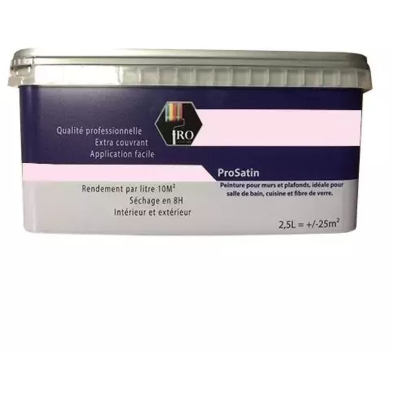 PRO COULEURS Peinture acrylique satinée 2,5L Rose dragée 2,5 L