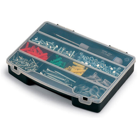 pro organizer 10 nero