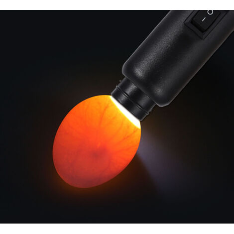 [Probador de huevos con función de vela] – Luz LED – Doble alimentación (portátil/funciona con pilas) – ABS – 15 cm – Adaptador de corriente y 2 tapas protectoras incluidos