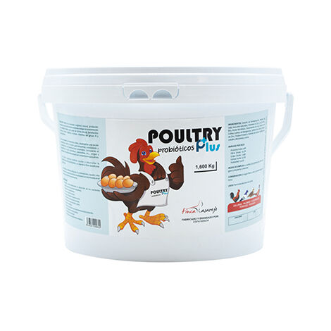 Probiótico Natural para Reforzar la Salud Intestinal de tus Aves de Corral  Poultry Plus (1600g)  Mejora de la Fertilidad y La Puesta de Huevos