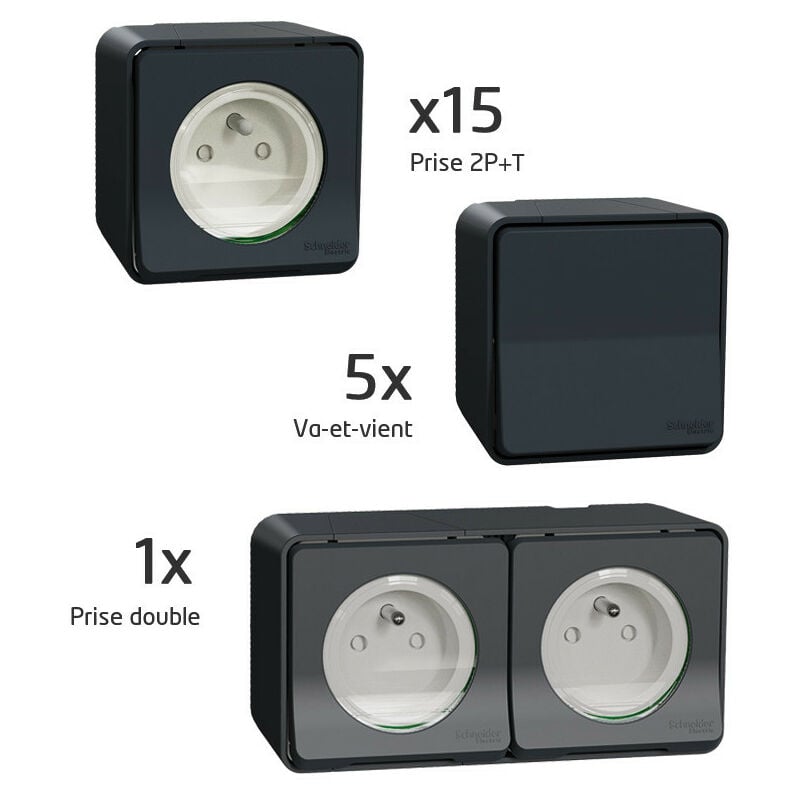 Probox Mureva 15 pc + 5 vv + 1 pc double (PFRB13)