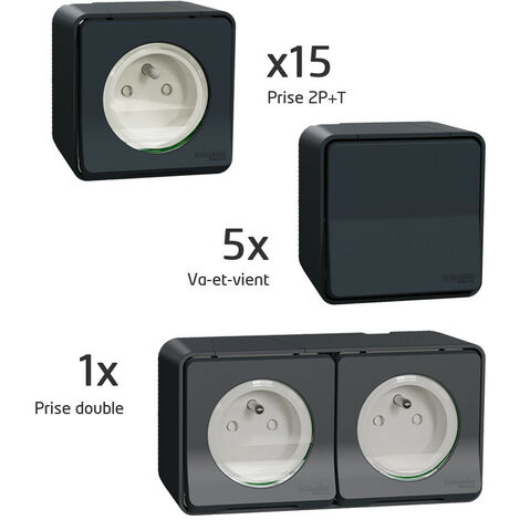 Probox Mureva 15 PC + 5 VV + 1 PC double (PFRB13)