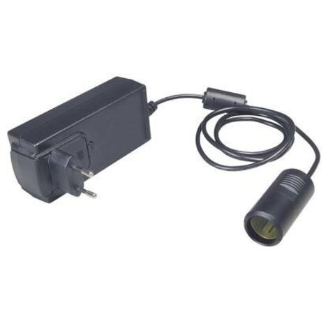 ProCar Inverter 60 W Nero con presa accendisigari