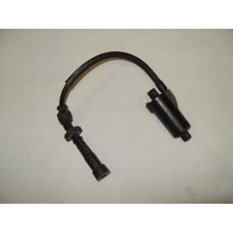[PRODUIT D'OCCASION] Bobine d'allumage HT origine pour moto Suzuki 650 SV 2001