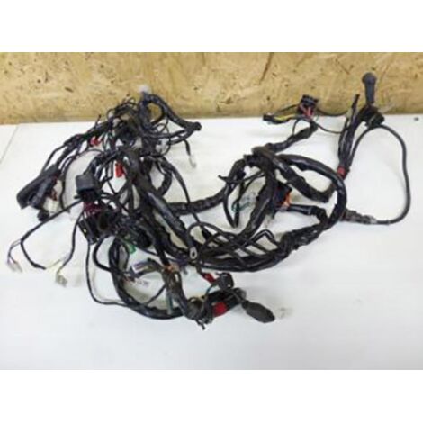 [PRODUIT D'OCCASION] Faisceau électrique origine pour scooter Piaggio 125 X EVO 2009