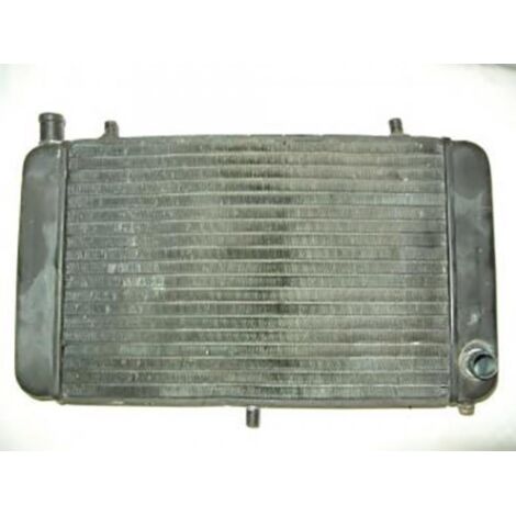[PRODUIT D'OCCASION] Radiateur de refroidissement origine pour moto Aprilia 125 AF1