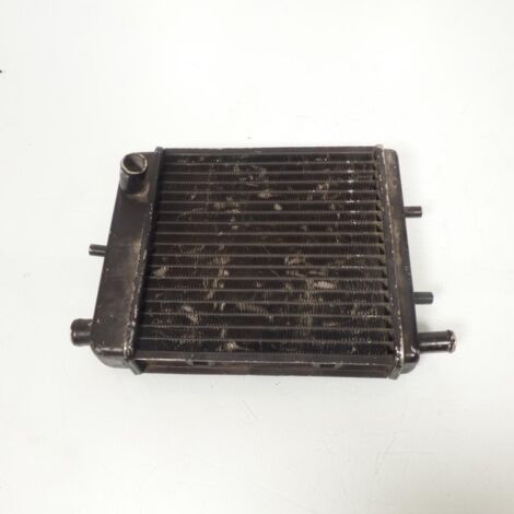 [PRODUIT D'OCCASION] Radiateur de refroidissement origine pour moto Aprilia 125 AF1