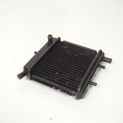 [PRODUIT D'OCCASION] Radiateur de refroidissement origine pour moto Aprilia 50 RS