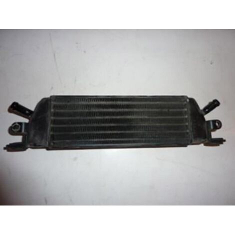 [PRODUIT D'OCCASION] Radiateur de refroidissement origine pour Moto BMW 1100 R T