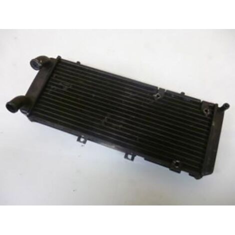 [PRODUIT D'OCCASION] Radiateur de refroidissement origine pour moto pour motocycle