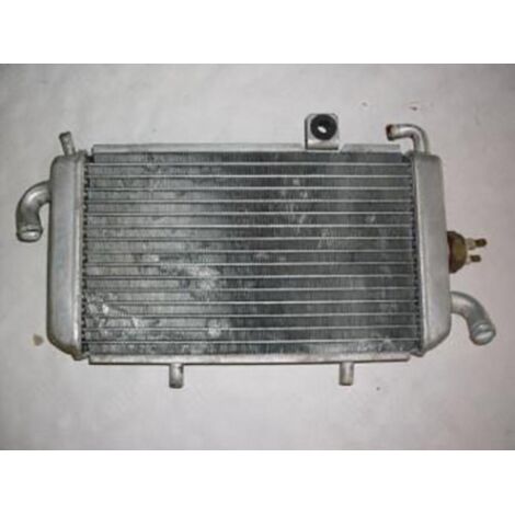 [PRODUIT D'OCCASION] Radiateur de refroidissement origine pour Scooter Piaggio 125 LX