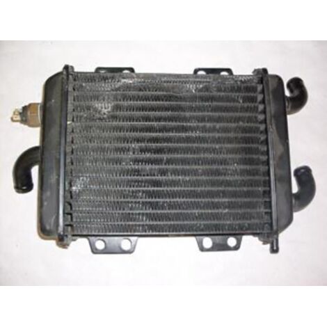 [PRODUIT D'OCCASION] Radiateur refroidissement pour scooter Peugeot 125 Elyseo 738202