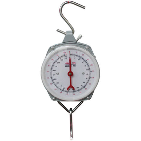 Professional 200 kg hanging scale crane scale loading scale scale scale scale of industrial scale First