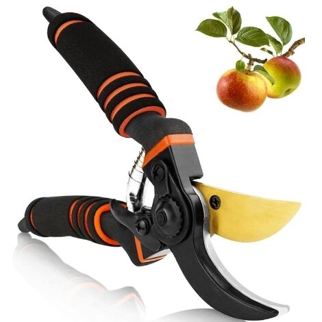 Professional Titanium Gardening Scissors, Gardening Scissors, Garden Scissors, Bypass Scissors, Gardening Scissors for Branches, Hedges and Flowers