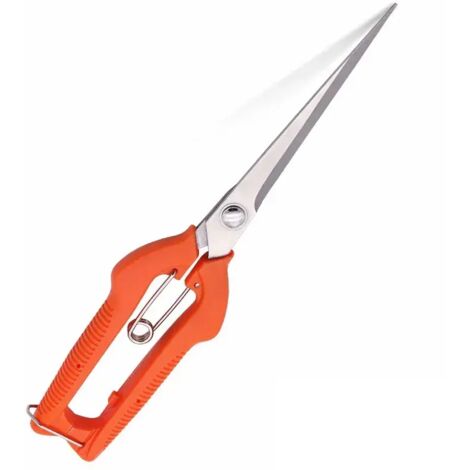 Professionelle Bonsai-Schere aus Edelstahl, spitze Obstschere, Holzbearbeitungsgriff, PP