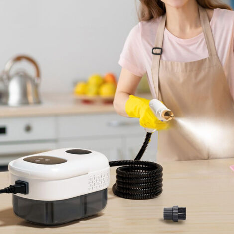 Professioneller, tragbarer Dampfreiniger mit 2500 W Leistung, intelligentem Touchscreen und hoher Temperatur für den Heimgebrauch, EU-Stecker 220 V