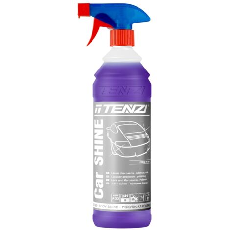 Professionelles Glanzspray für Farben mit Polymeren, 1 l