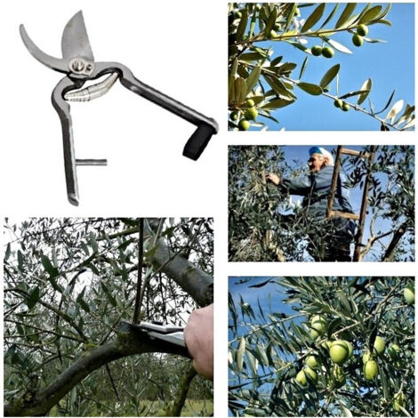 Professionnel Garden Potatures Lama 200 Mm