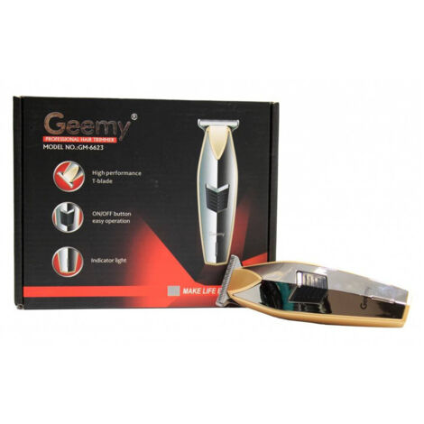 Professionnel Trimmer Batteria Gm6623