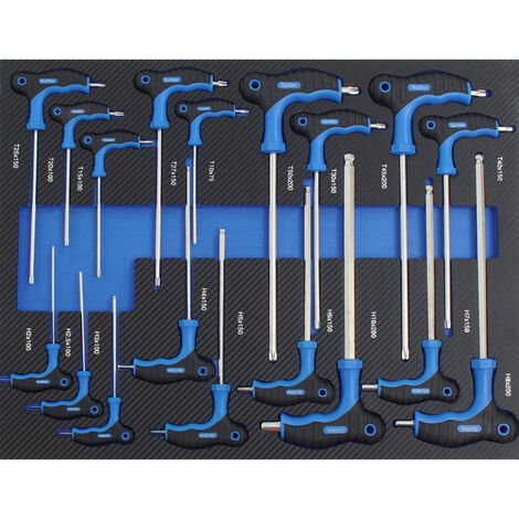 Profi Werkstattwagen Einlage blau Inbussschlüsselsatz Torx T-Griff Inbusschlüssel 18 tlg. Schaum 520x400mm