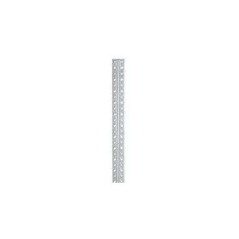 Profilé de rayonnage galvanisé 2,0 m. P40