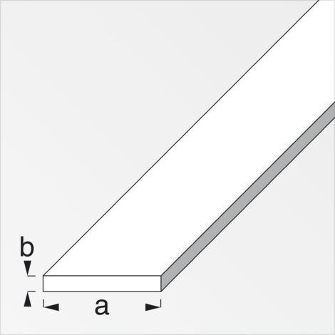 PROFILO BIANCO H.200 CM PIATTO 25X2 MM- 5,0 pz