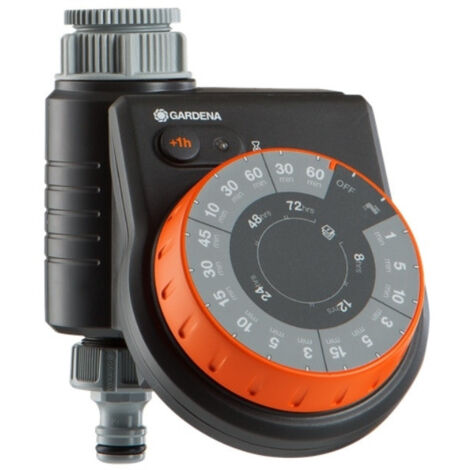 Natural Sandblasted Manzanita Branch | Dried Wood Decor For