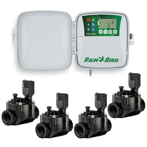 Programmeurs d'irrigation ESP-RZXE4 Ext + 4 Solenoid 100HV Rain Bird