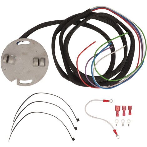 Programmierbares elektronisches Einzelzündungs-Zündmodul 53-644 für Shovelhead Evolution.
