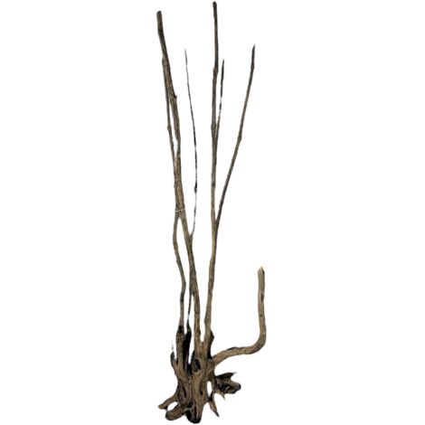 PROGROW BOIS GÉANT 1,5-2 M 1 KG