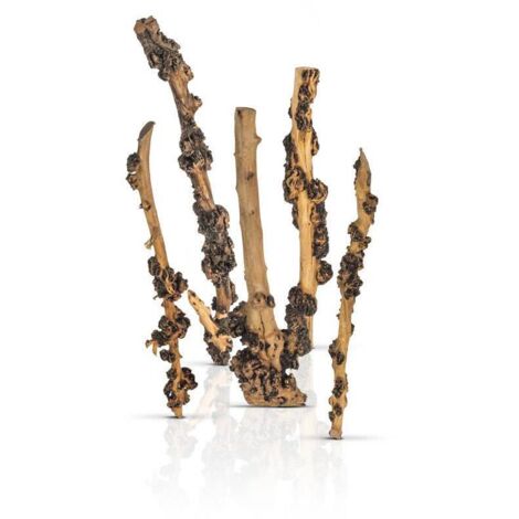 PROGROW ENIGMA WOOD 1STK.