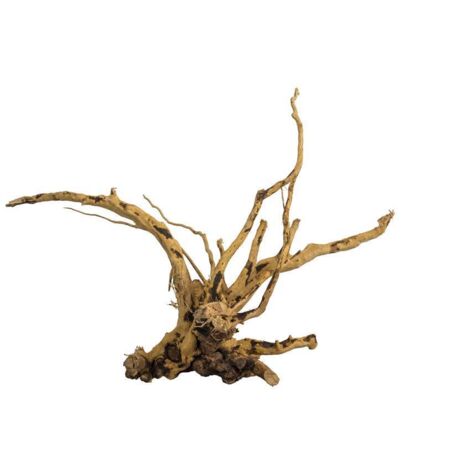 PROGROW MADERA DE PÁRAMO ROJO XL 1KG