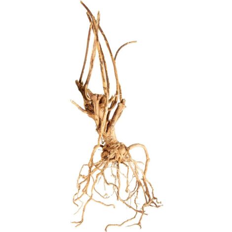 PROGROW MOOSBAUM 20-40CM 1STK.