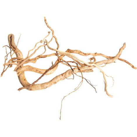 PROGROW RAMA SIMPLE 10-60CM 1KG
