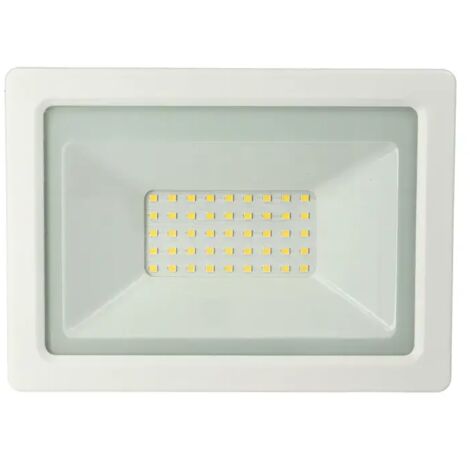 Proiettore LED, 30W, 220Vac, Luce Naturale, Bianco