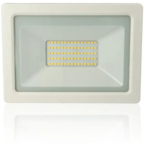 Proiettore LED, 50W, 220Vac, Luce Naturale, Bianco
