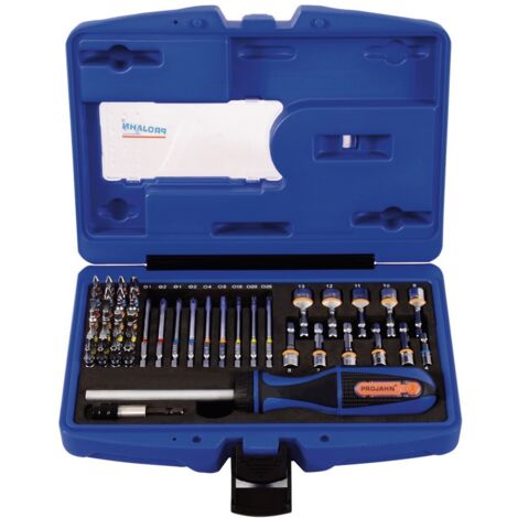 Projahn 1/4 Bit Box mit markierten Bits 60-tlg. inkl. Ratschenschraubendreher mit Bitfach