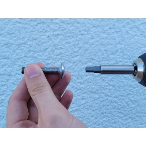 Projahn Schraubendreher-Einsatz 5,5 mm (Bits für Innensechskant Schrauben)