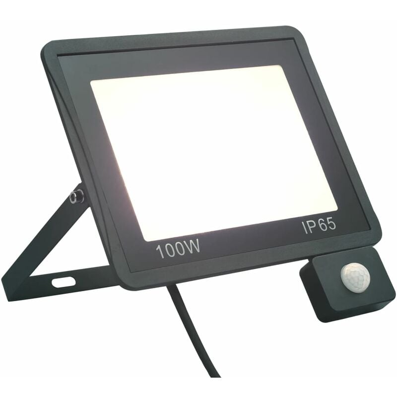 Inlife Projecteur à led avec capteur 100 w Blanc froid - Noir
