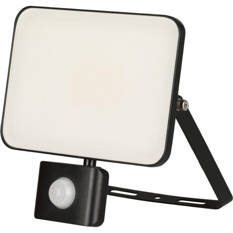 Projecteur à LED RS PRO, 50 W, IP65, 120 lm, 4000K, avec détecteur, 1 LED ( Prix pour 1 )