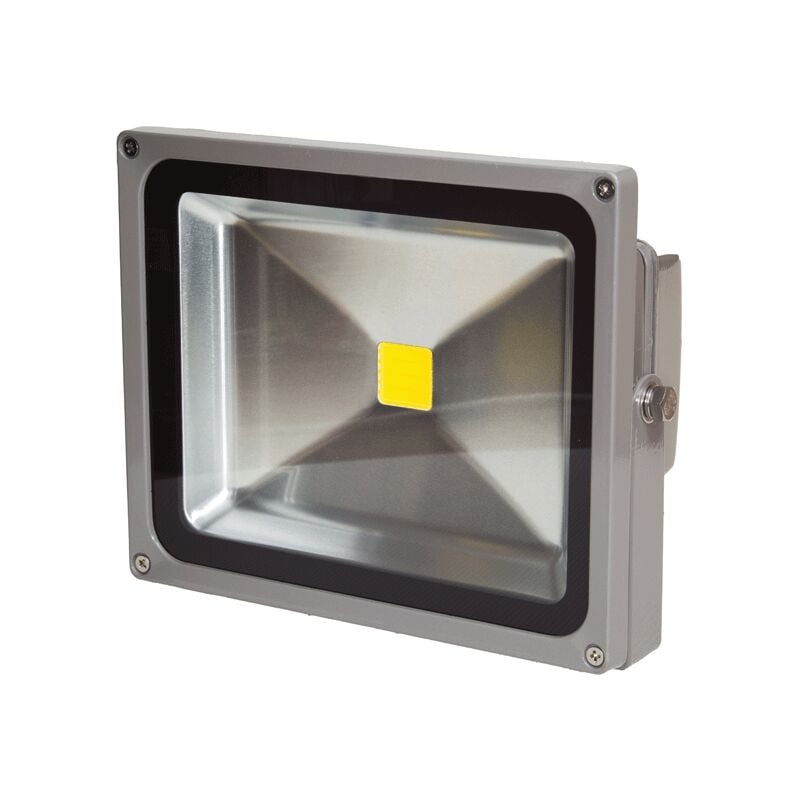 Projecteur led 30W blanc neutre IP65 12-24V dc