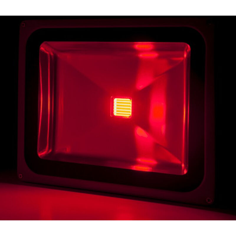 Projecteur led Spot 50W 4 250Lm IP65 Brico Rouge 40 000H [BQFS29050B-R]